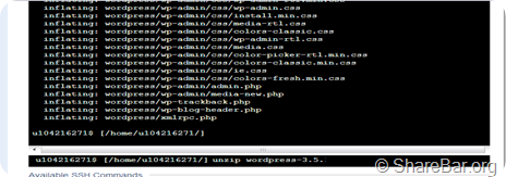 YouHosting系列教程：实现在线下载和在线解压4